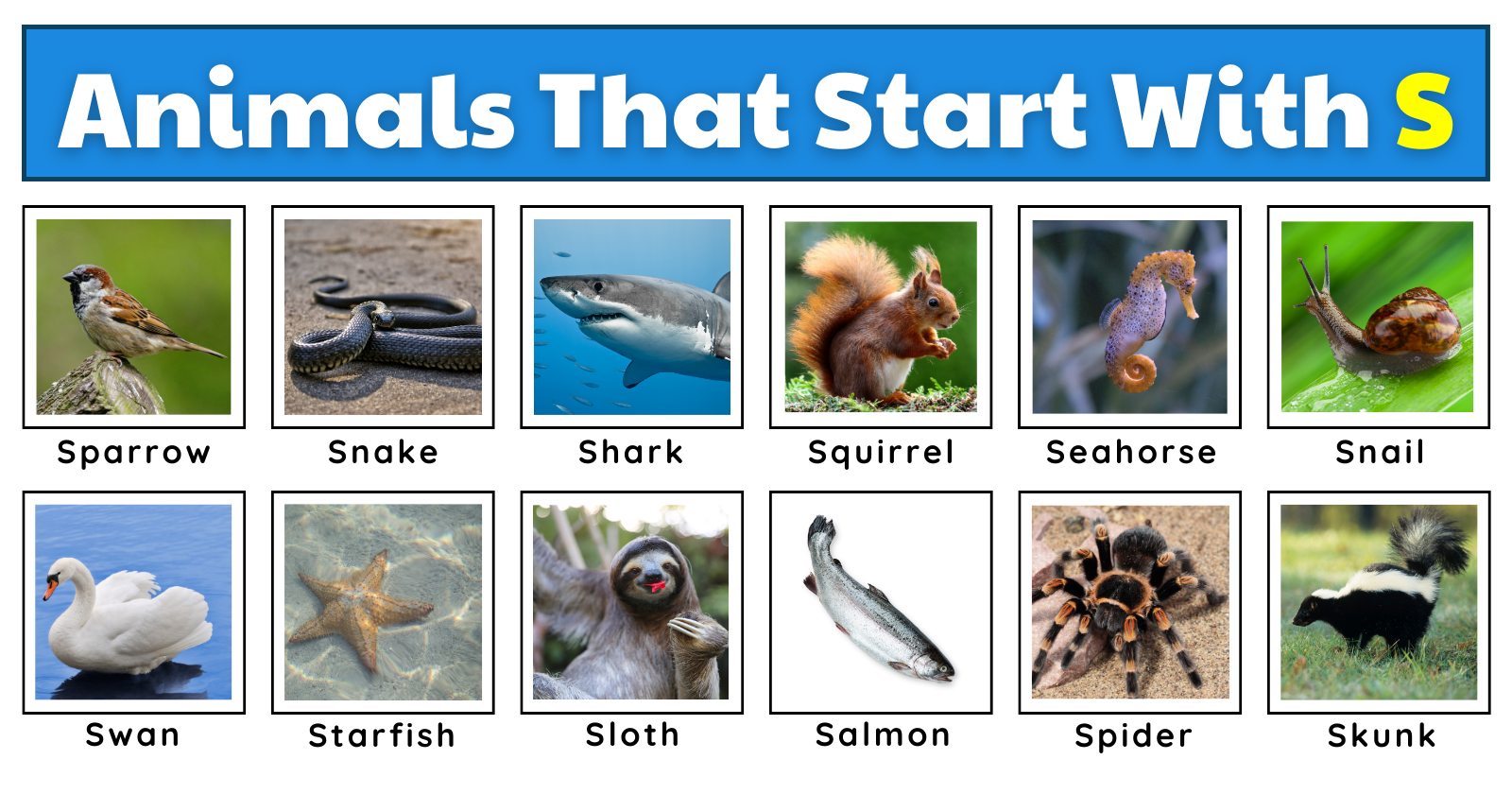 animals that start with the letter s